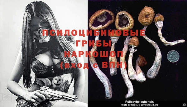 мдма Заводоуковск